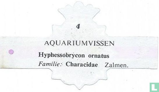 Hyphessobrycon ornatus - Afbeelding 2