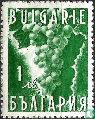 Wine Grape