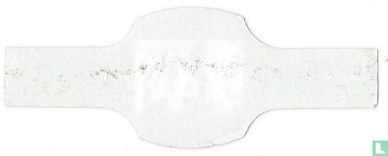 Stootijsvogel - Image 2