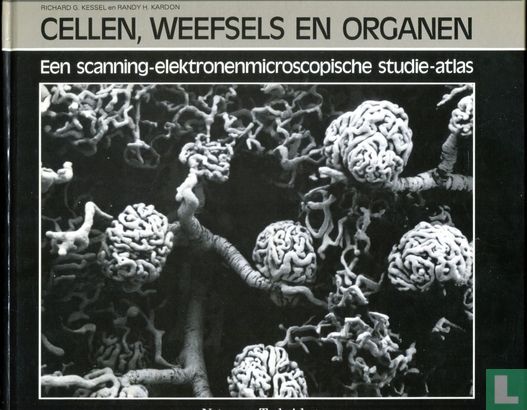 Cellen, weefsels en organen - Image 1