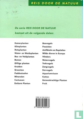 Klimplanten - Image 2