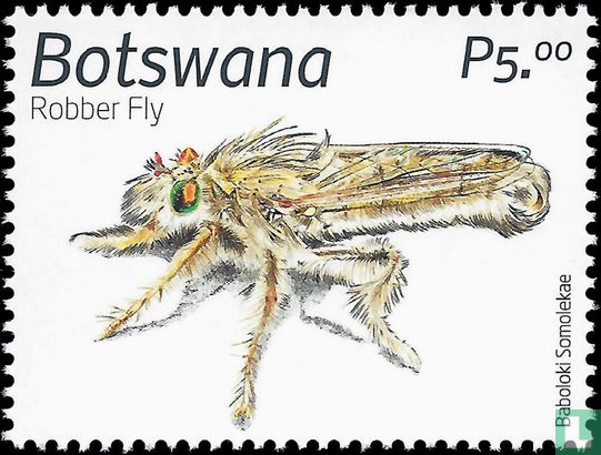 Invertebrates of the Kalahari: Insects