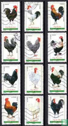 Roosters of France