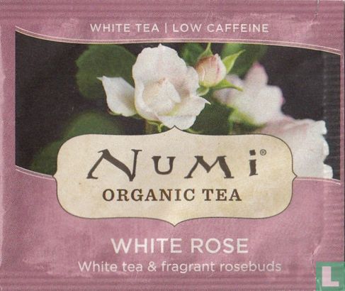 White Rose - Image 1