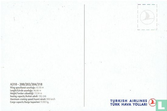 THY Turkish Airlines - Airbus A-310 - Bild 2