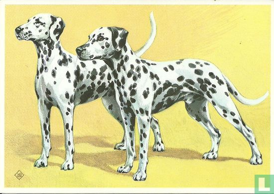 Voor het Kind - Honden 2e serie - Dalmatische honden - Afbeelding 1