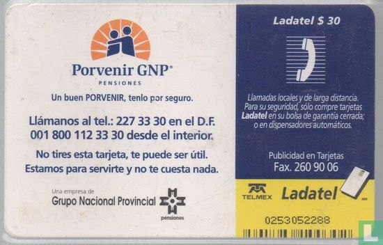 Porvenir GNP - Image 2