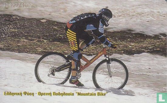Mountain Bike - Image 2