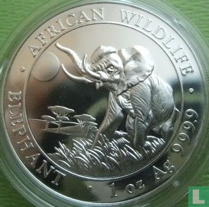 Somalië 100 shillings 2016 (zilver - kleurloos) "Elephant" - Afbeelding 2