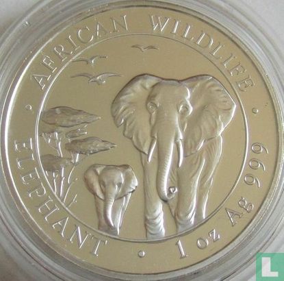 Somalië 100 shillings 2015 (zilver - kleurloos) "Elephant" - Afbeelding 2