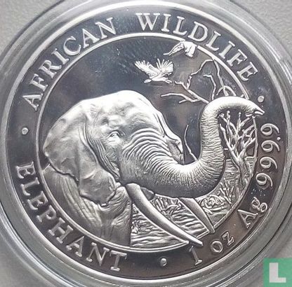 Somalië 100 shillings 2018 (zilver - kleurloos) "Elephant" - Afbeelding 2