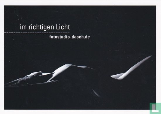 0011 - Fotostudio Dasch "im richtigen Licht" - Afbeelding 1