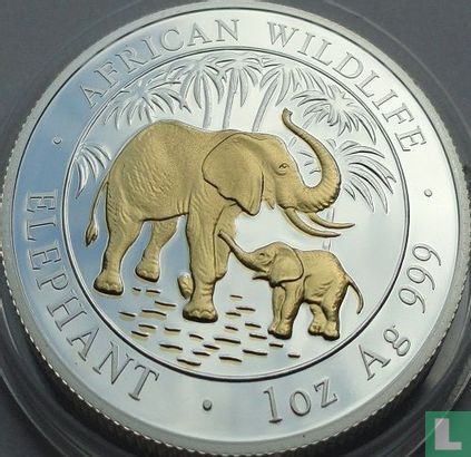 Somalië 100 shillings 2007 (gedeeltelijk verguld) "Elephant" - Afbeelding 2