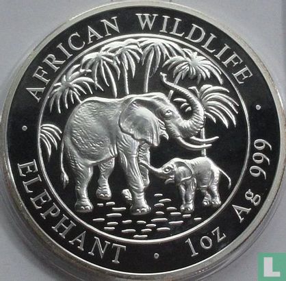 Somalië 100 shillings 2007 (PROOF) "Elephant" - Afbeelding 2