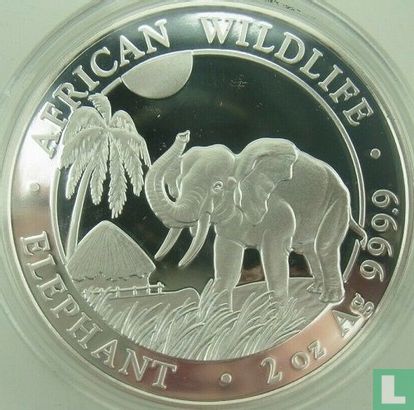 Somalie 200 shillings 2017 (argent) "Elephant" - Image 2
