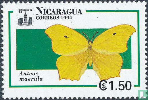Butterflies of Central America 
