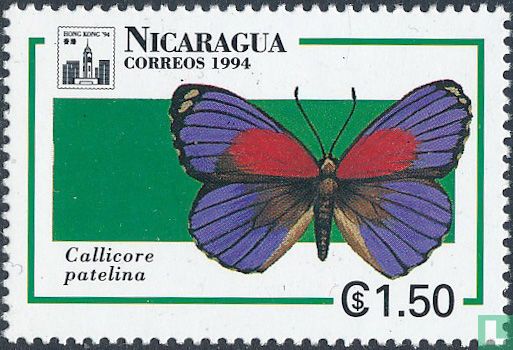 Butterflies of Central America