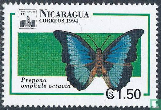 Papillons d'Amérique centrale  