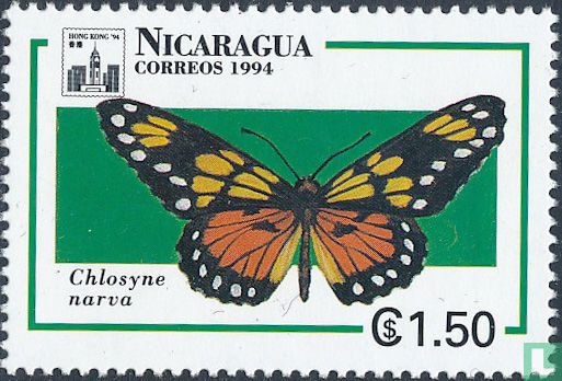 Papillons d'Amérique centrale 