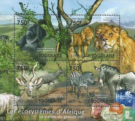 De ecosystemen van Afrika  