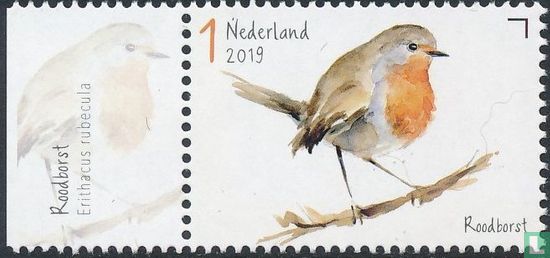 Garden birds - robin