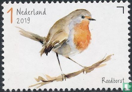 Garden birds - robin