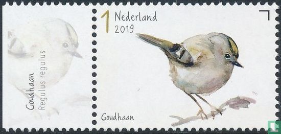 Tuinvogels - Goudhaan