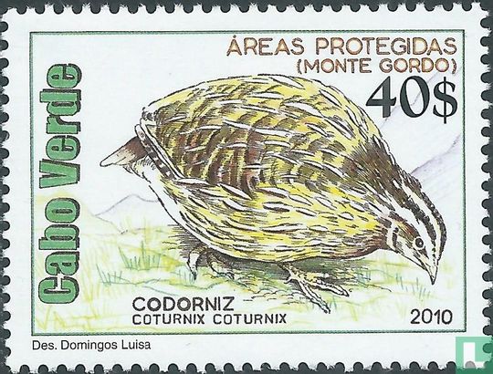 Monte Gordo nature reserve