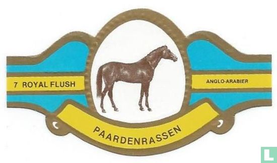 Anglo Arabier 7 (1986) - Royal Flush - LastDodo