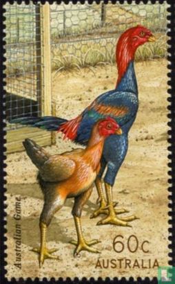 Australian chicken breeds