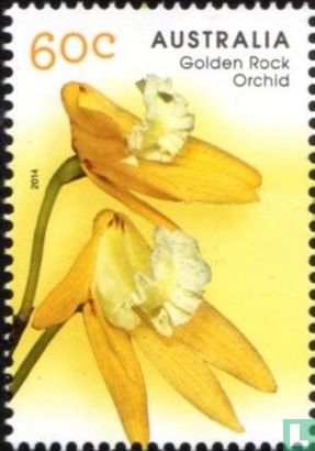 Einheimischen Orchideen