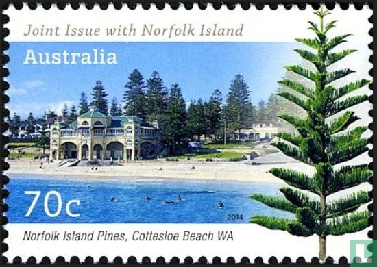Norfolk Island pines