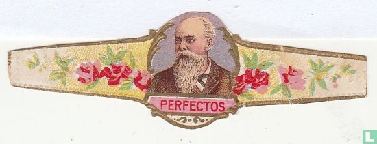 Perfectos Ribbon Perfectos - Perfectos - LastDodo
