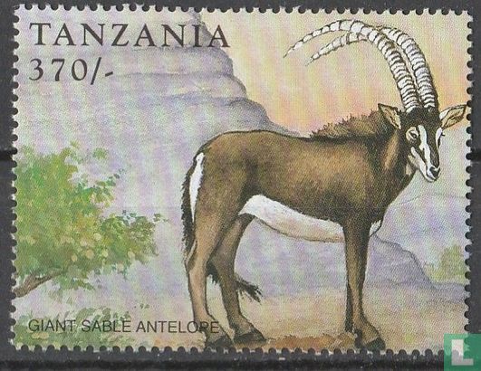 Sable géant