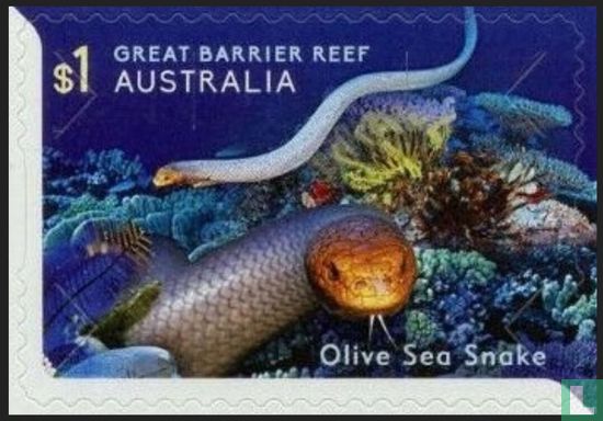 Leben am Great Barrier Reef