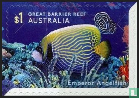 Leben am Great Barrier Reef