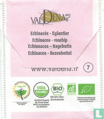 Echinacée - Eglantier - Bild 2