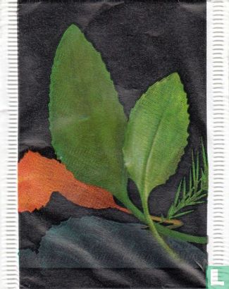 Grøn Te - Image 1