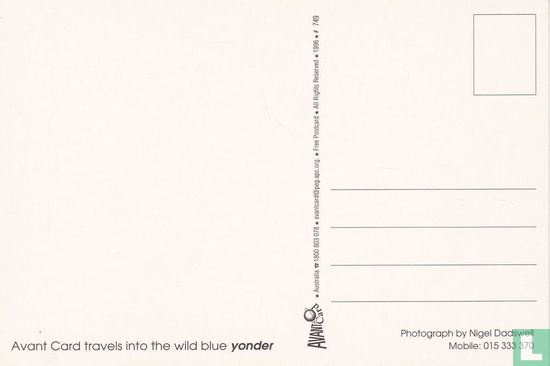 00749 - Avant Card - Nigel Dadswell - Afbeelding 2