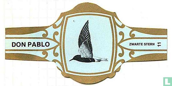 Black tern  - Image 1