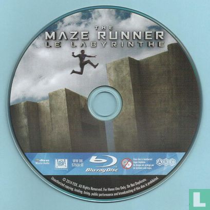 The Maze Runner - Image 3
