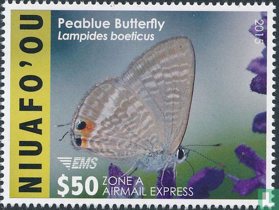 Papillons    
