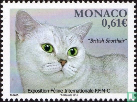 International Cat Exhibition