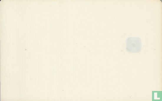 Blanco testkaart - Afbeelding 2