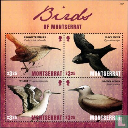 Vogels van Montserrat