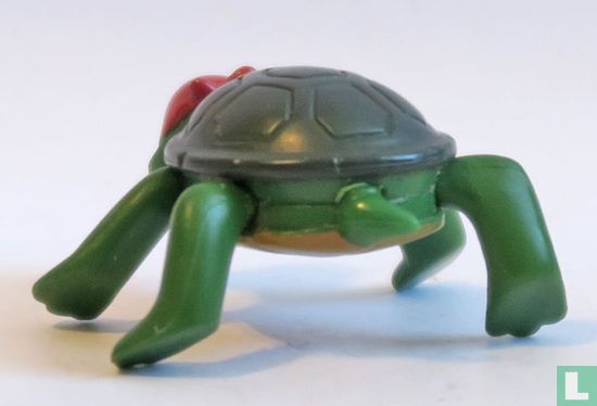 Schildpad - Afbeelding 2