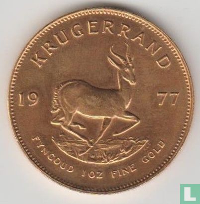 Zuid-Afrika 1 krugerrand 1977 - Afbeelding 1