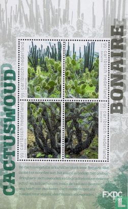 Cactus forest - Bonaire