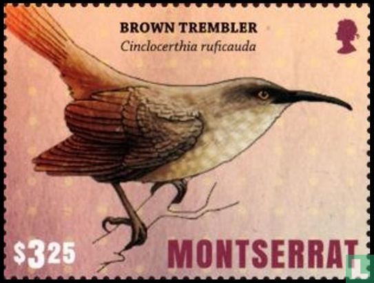 Vogels van Montserrat