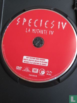 Species IV - Bild 3